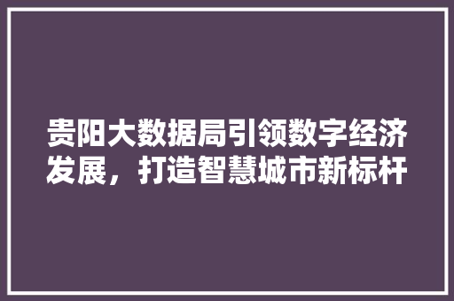 贵阳大数据局引领数字经济发展，打造智慧城市新标杆 电脑配置