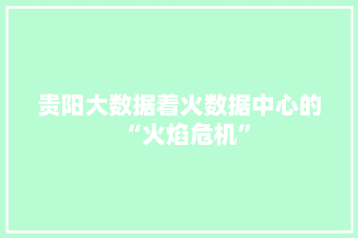 贵阳大数据着火数据中心的“火焰危机”