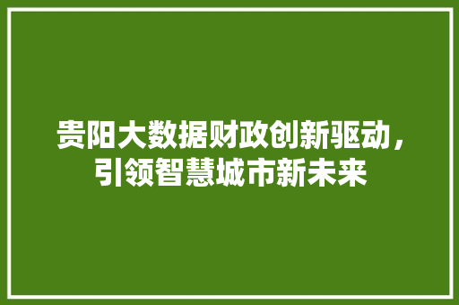 贵阳大数据财政创新驱动，引领智慧城市新未来