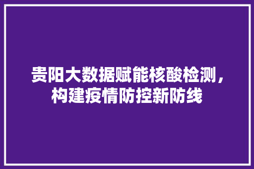 贵阳大数据赋能核酸检测，构建疫情防控新防线