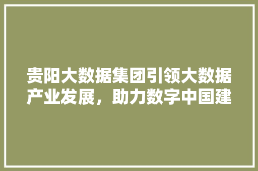 贵阳大数据集团引领大数据产业发展，助力数字中国建设
