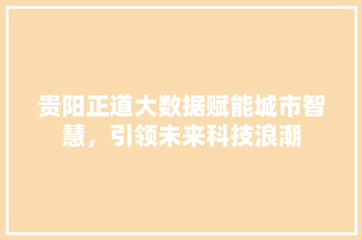 贵阳正道大数据赋能城市智慧，引领未来科技浪潮