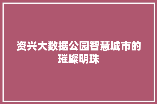 资兴大数据公园智慧城市的璀璨明珠