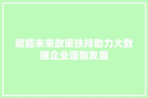 赋能未来政策扶持助力大数据企业蓬勃发展
