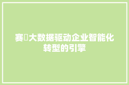 赛祎大数据驱动企业智能化转型的引擎