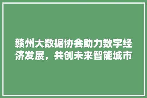 赣州大数据协会助力数字经济发展，共创未来智能城市