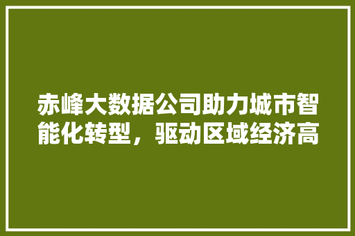 赤峰大数据公司助力城市智能化转型，驱动区域经济高质量发展