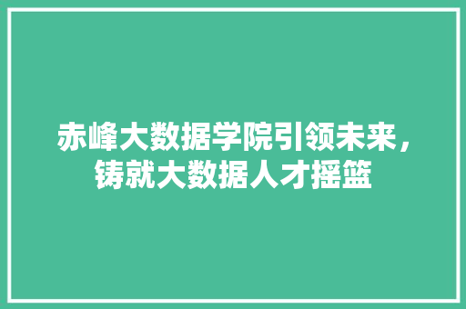 赤峰大数据学院引领未来，铸就大数据人才摇篮