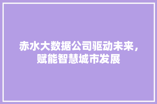 赤水大数据公司驱动未来,赋能智慧城市发展 赤水大数据公司驱动未来,赋能智慧城市发展