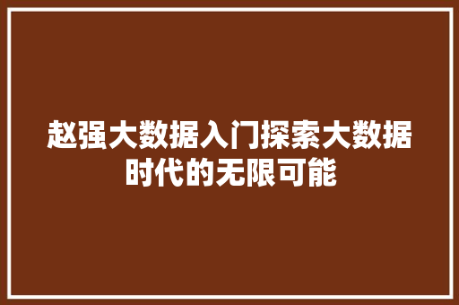赵强大数据入门探索大数据时代的无限可能