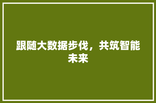跟随大数据步伐，共筑智能未来