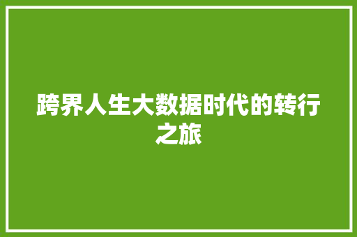 跨界人生大数据时代的转行之旅