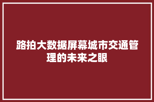 路拍大数据屏幕城市交通管理的未来之眼 路拍大数据屏幕城市交通管理的未来之眼