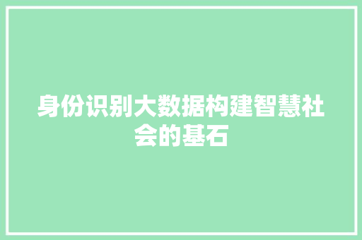 身份识别大数据构建智慧社会的基石 身份识别大数据构建智慧社会的基石