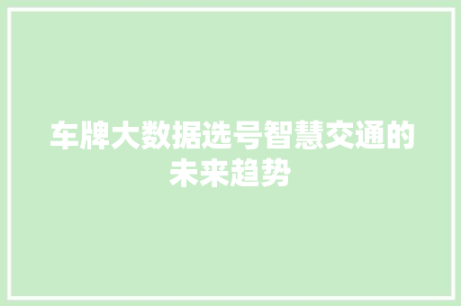 车牌大数据选号智慧交通的未来趋势