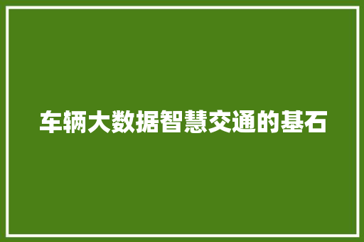 车辆大数据智慧交通的基石