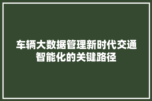 车辆大数据管理新时代交通智能化的关键路径