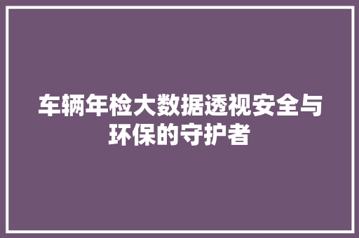 车辆年检大数据透视安全与环保的守护者