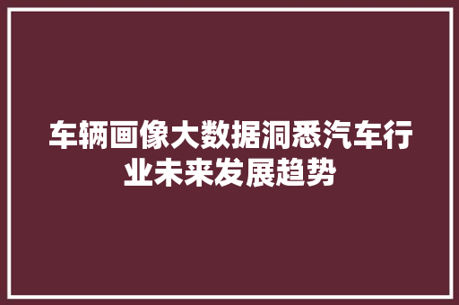 车辆画像大数据洞悉汽车行业未来发展趋势