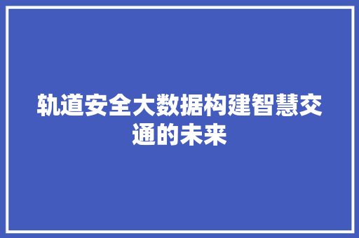轨道安全大数据构建智慧交通的未来
