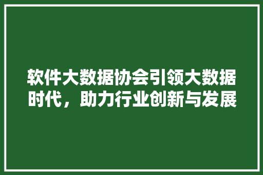 软件大数据协会引领大数据时代，助力行业创新与发展