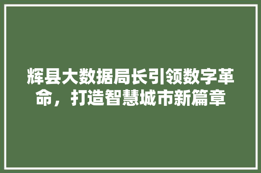 辉县大数据局长引领数字革命，打造智慧城市新篇章