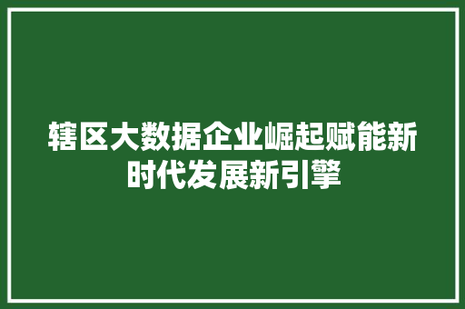 辖区大数据企业崛起赋能新时代发展新引擎