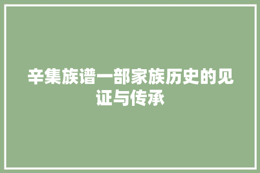 辛集族谱一部家族历史的见证与传承
