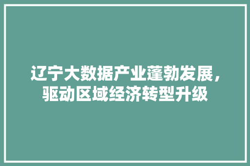 辽宁大数据产业蓬勃发展，驱动区域经济转型升级
