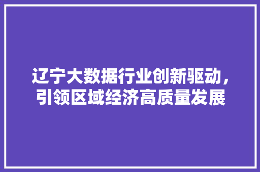 辽宁大数据行业创新驱动，引领区域经济高质量发展
