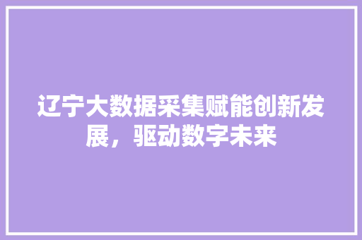 辽宁大数据采集赋能创新发展，驱动数字未来