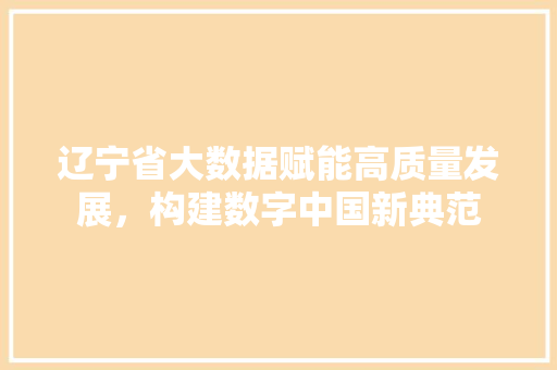 辽宁省大数据赋能高质量发展，构建数字中国新典范 编程语言