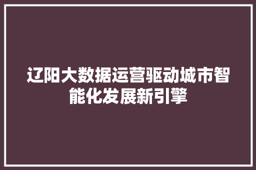 辽阳大数据运营驱动城市智能化发展新引擎