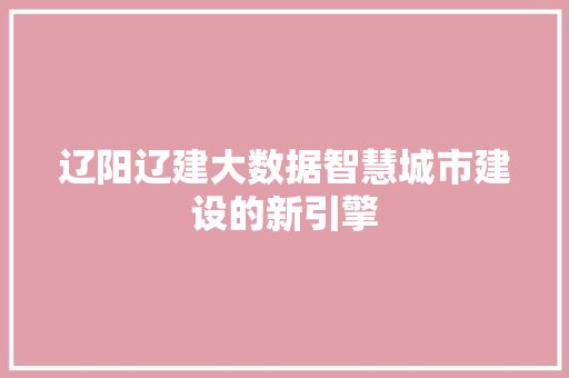 辽阳辽建大数据智慧城市建设的新引擎