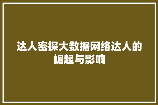 达人密探大数据网络达人的崛起与影响