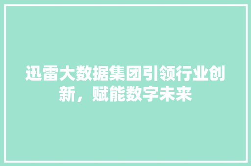 迅雷大数据集团引领行业创新,赋能数字未来 迅雷大数据集团引领行业创新,赋能数字未来