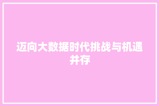 迈向大数据时代挑战与机遇并存