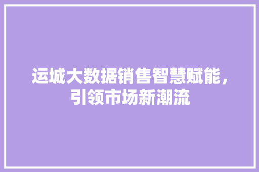 运城大数据销售智慧赋能，引领市场新潮流
