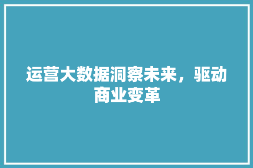 运营大数据洞察未来，驱动商业变革
