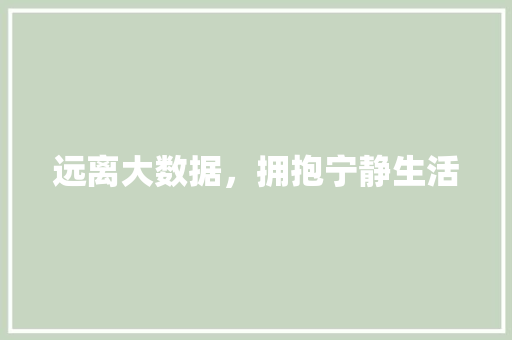 远离大数据，拥抱宁静生活
