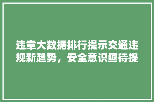 违章大数据排行提示交通违规新趋势，安全意识亟待提升