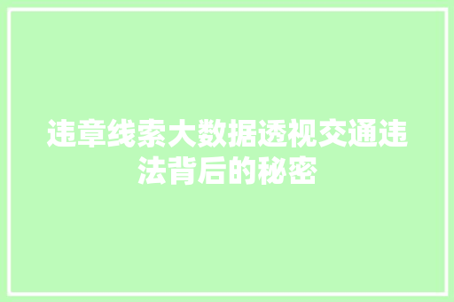 违章线索大数据透视交通违法背后的秘密