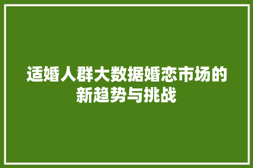 适婚人群大数据婚恋市场的新趋势与挑战