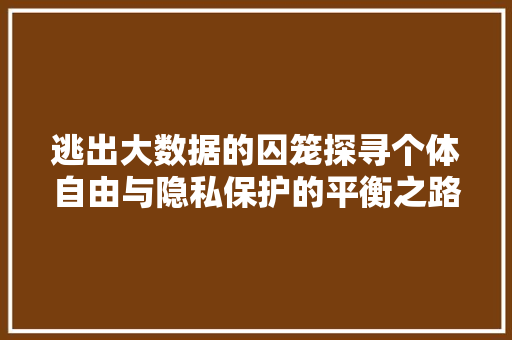 逃出大数据的囚笼探寻个体自由与隐私保护的平衡之路