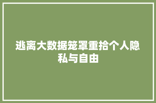 逃离大数据笼罩重拾个人隐私与自由