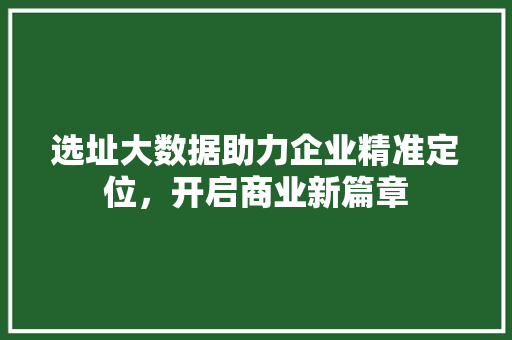 选址大数据助力企业精准定位，开启商业新篇章