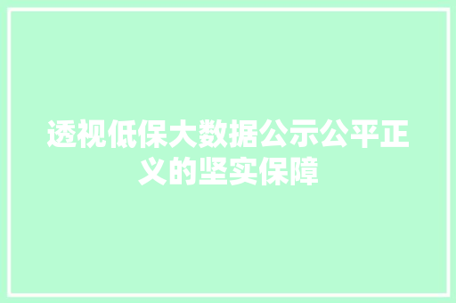 透视低保大数据公示公平正义的坚实保障
