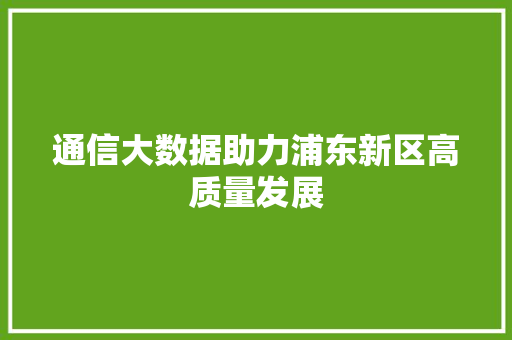 通信大数据助力浦东新区高质量发展