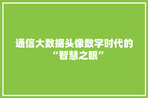 通信大数据头像数字时代的“智慧之眼”