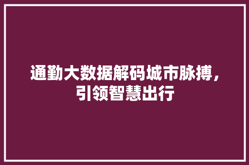 通勤大数据解码城市脉搏，引领智慧出行
